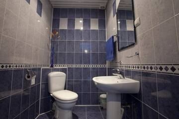 Фото номера Люкс Гостиница Форсаж г. Барнаул 7