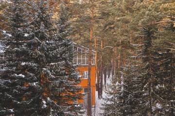 Фото Гостиница Park Hotel Lesnye Dali г. Барнаул 1